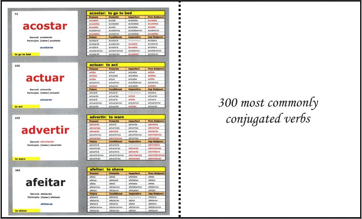 Conjugation Booklet Sample_00001-W1200.jpg Conjugation Booklet Sample_00001-W1200.jpg